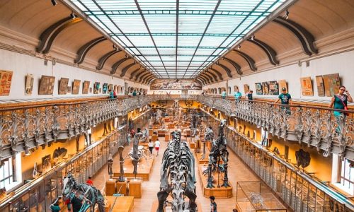 museum-5082786_640 museum-5082786_640